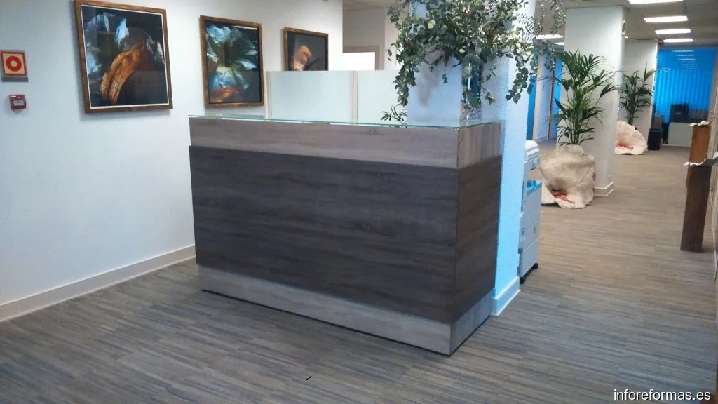 Carpintero Mata Ebanista