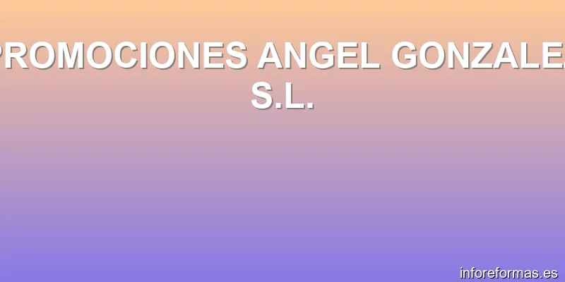 PROMOCIONES ANGEL GONZALEZ S.L.