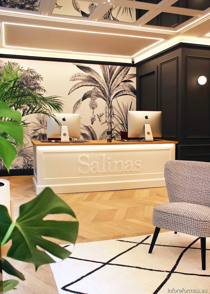 SALINAS OBRAS Y PROYECTOS