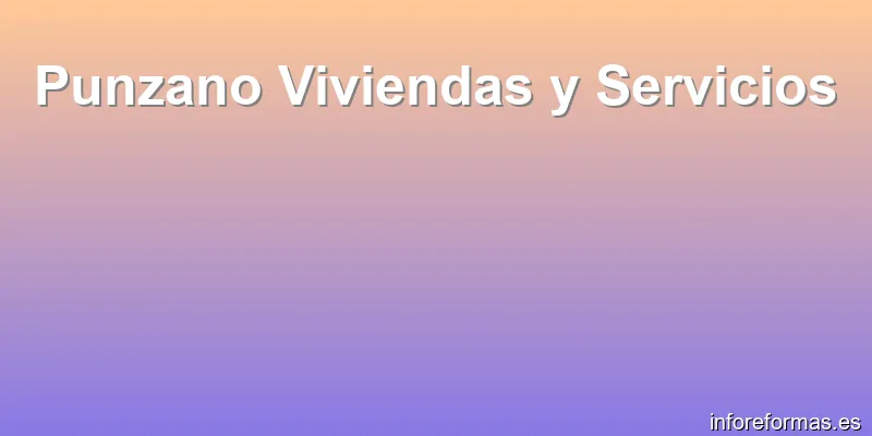 Punzano Viviendas y Servicios