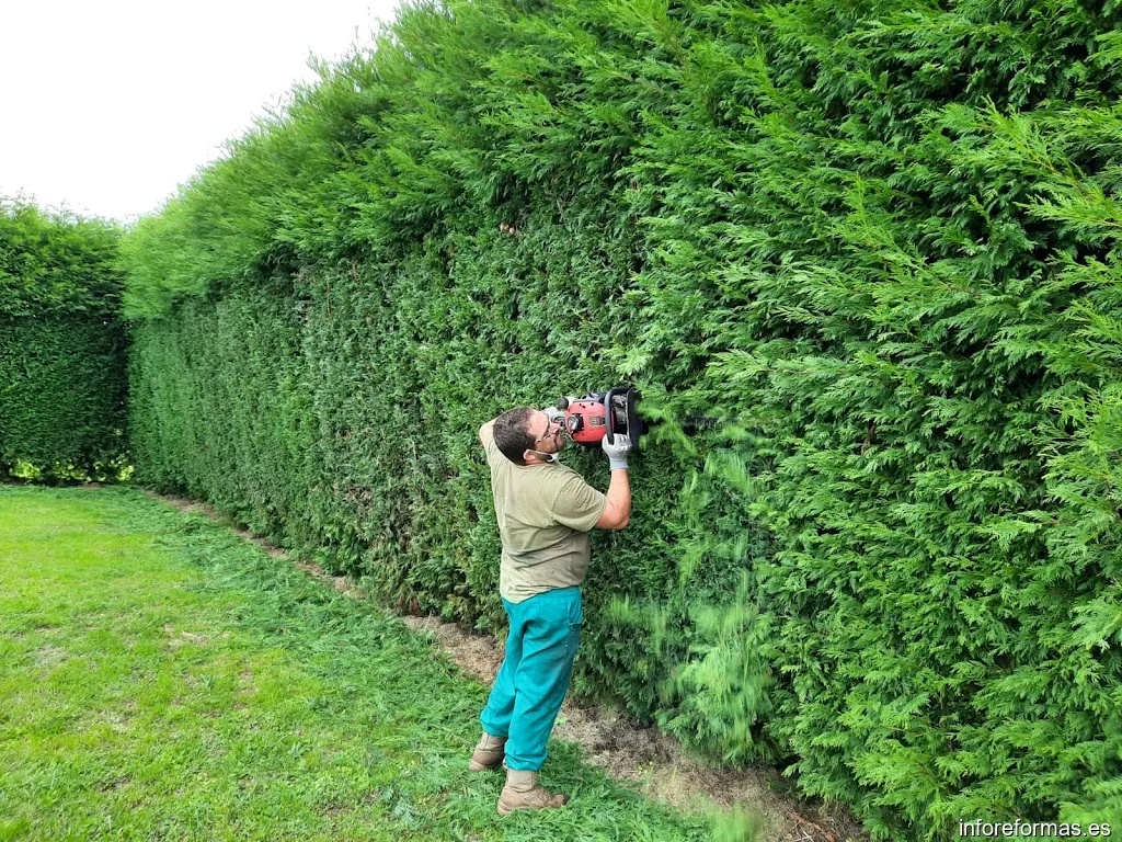 FÓRTICA Servicios Integrales