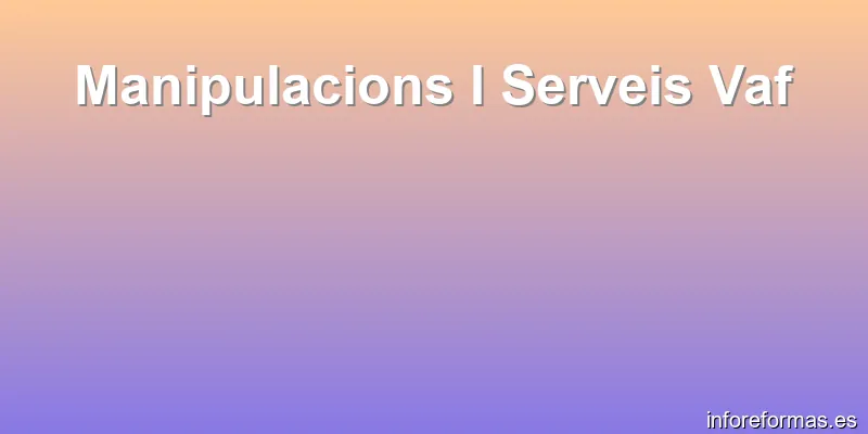 Manipulacions I Serveis Vaf
