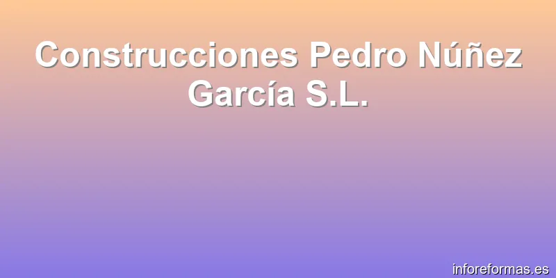 Construcciones Pedro Núñez García S.L.