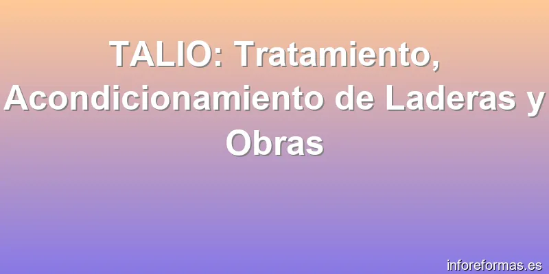 TALIO: Tratamiento, Acondicionamiento de Laderas y Obras