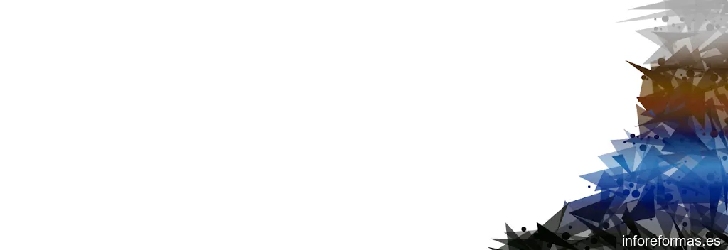 NEXUS PROJECTS PROFESSIONAL