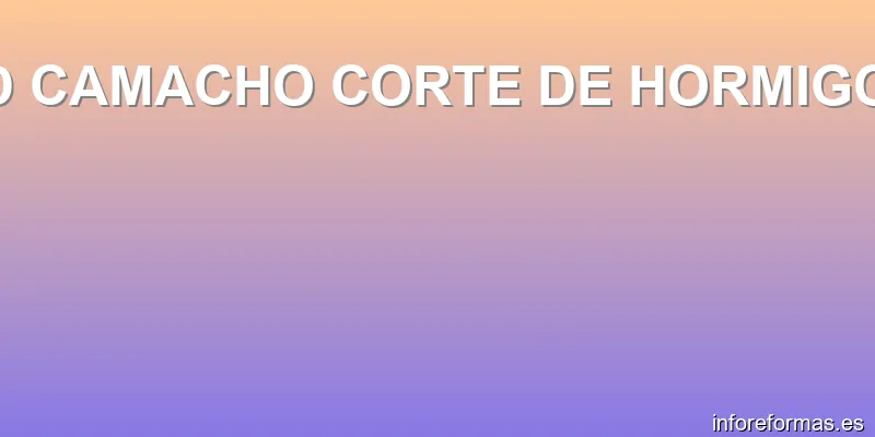 FD CAMACHO CORTE DE HORMIGON