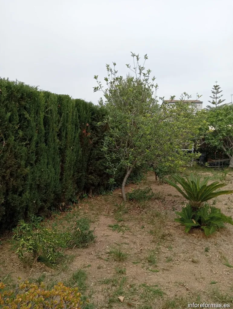 Reformas Antonio Ramírez