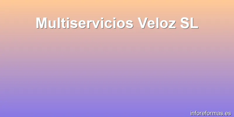 Multiservicios Veloz SL