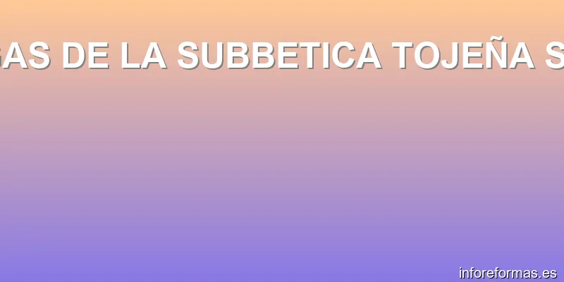 GAS DE LA SUBBETICA TOJEÑA SL