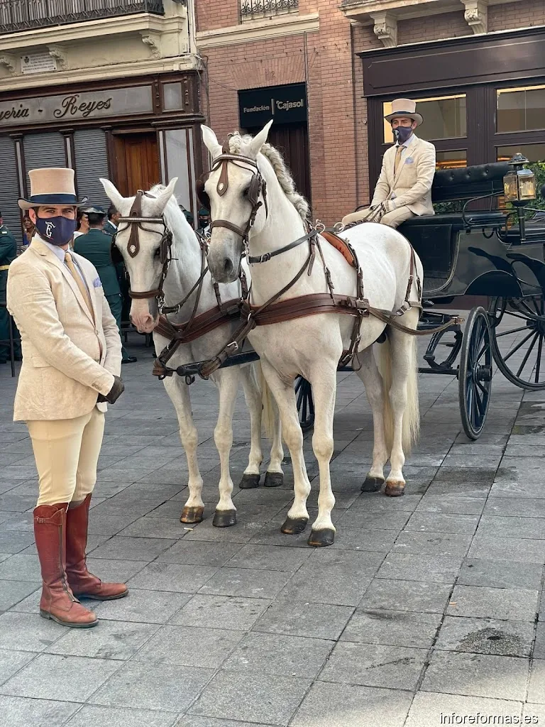 Reformas Francisco Gutiérrez