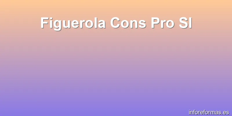 Figuerola Cons Pro Sl