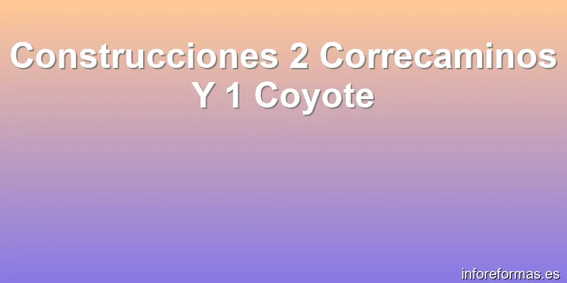 Construcciones 2 Correcaminos Y 1 Coyote