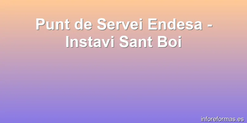 Punt de Servei Endesa - Instavi Sant Boi
