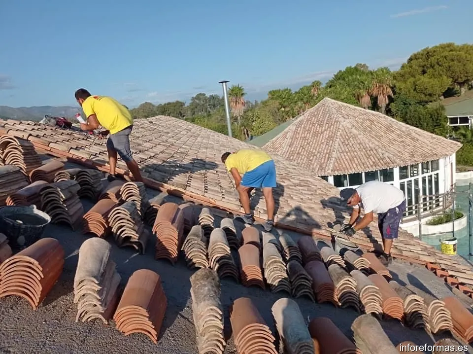 Tejeros de Arcos Olivera