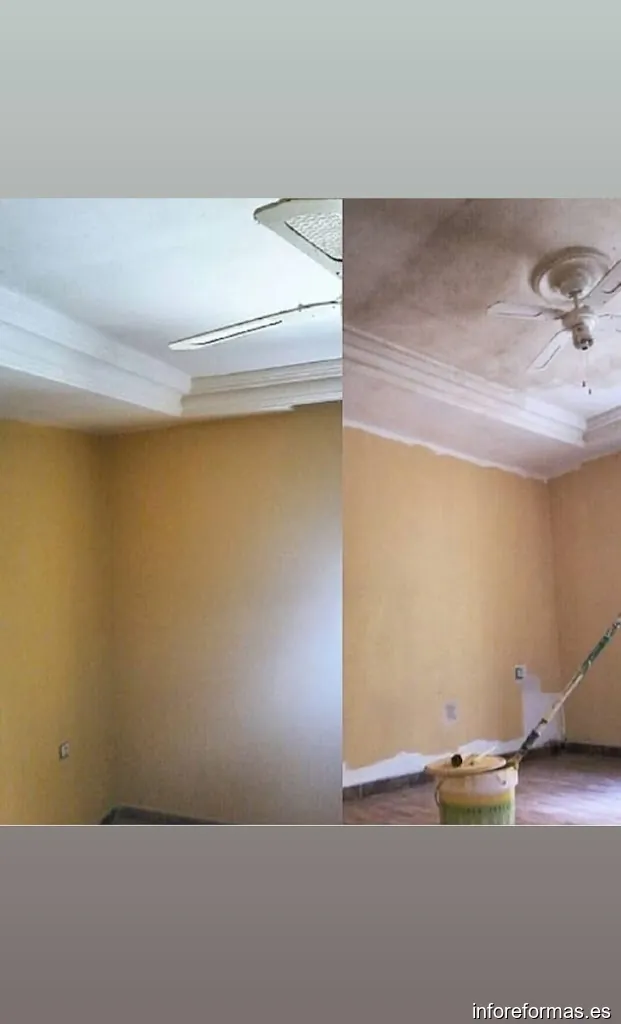 Multiservicios & Reformas 19