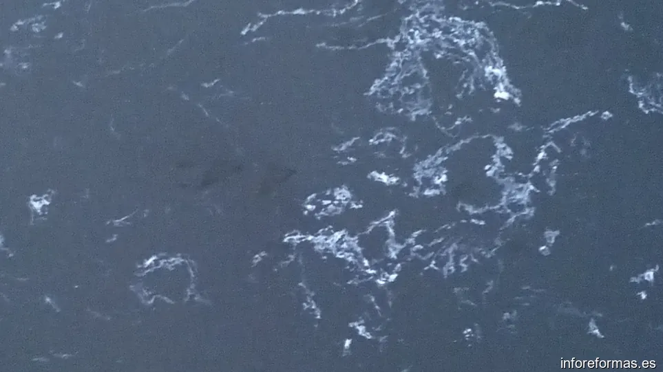 Pintores Gerardo Rafael