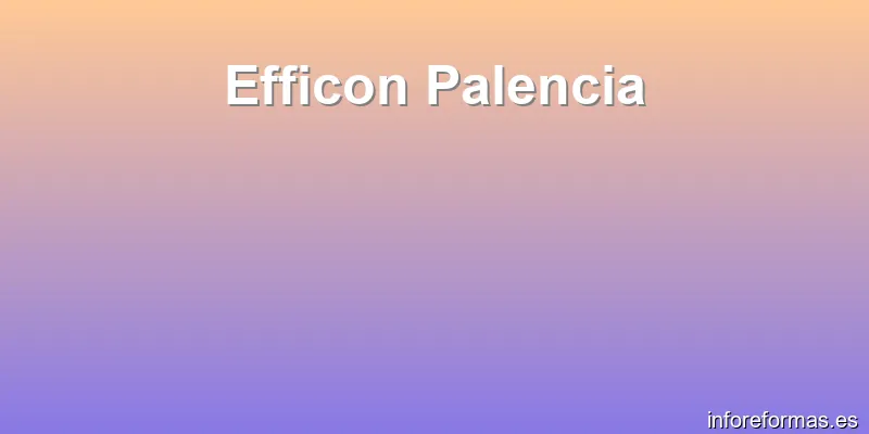 Efficon Palencia