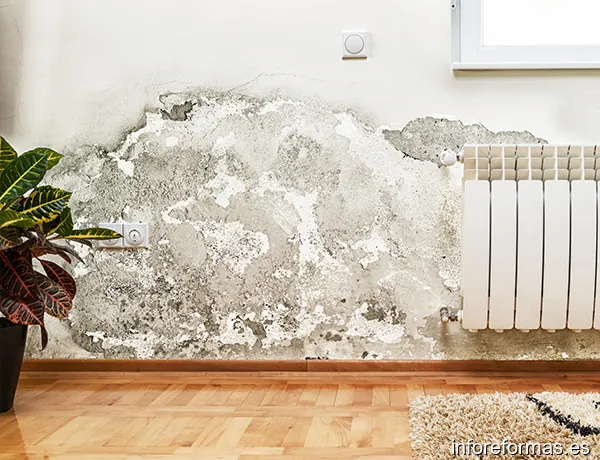 NOVANOR - Empresa de Humedades