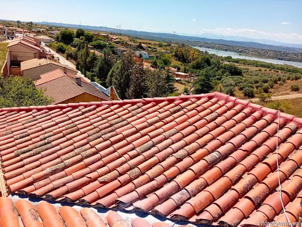 Trabajos verticales SAEMSA