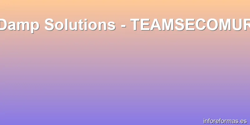 Damp Solutions - TEAMSECOMUR