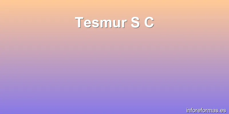 Tesmur S C