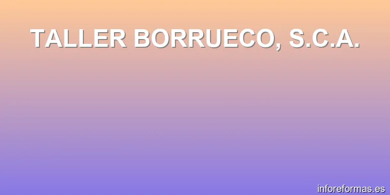 TALLER BORRUECO, S.C.A.