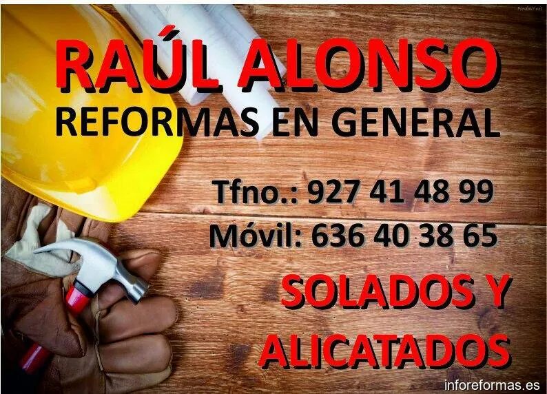 Raul Alonso Reformas en General
