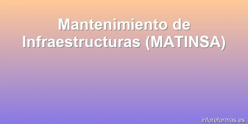 Mantenimiento de Infraestructuras (MATINSA)