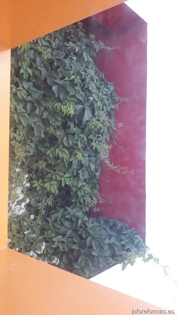 David Maroto ARQUITECTO