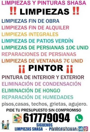 Limpiezas y Pinturas Shasa