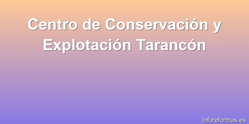 Centro de Conservación y Explotación Tarancón