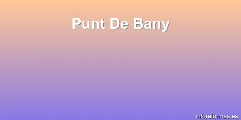 Punt De Bany