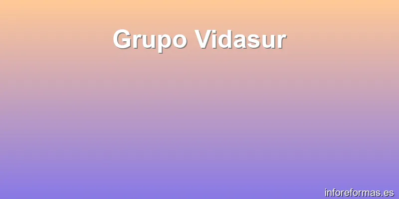 Grupo Vidasur