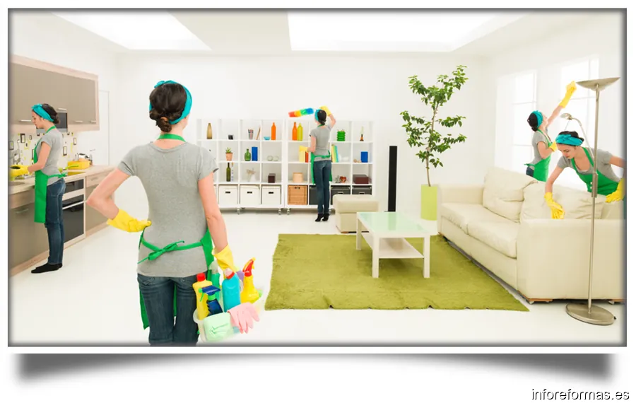 TopServei Asistencia Profesional