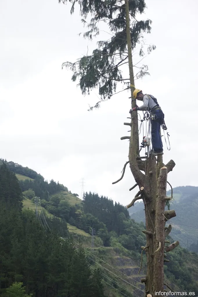 Ñañarri Lan Bertikalak