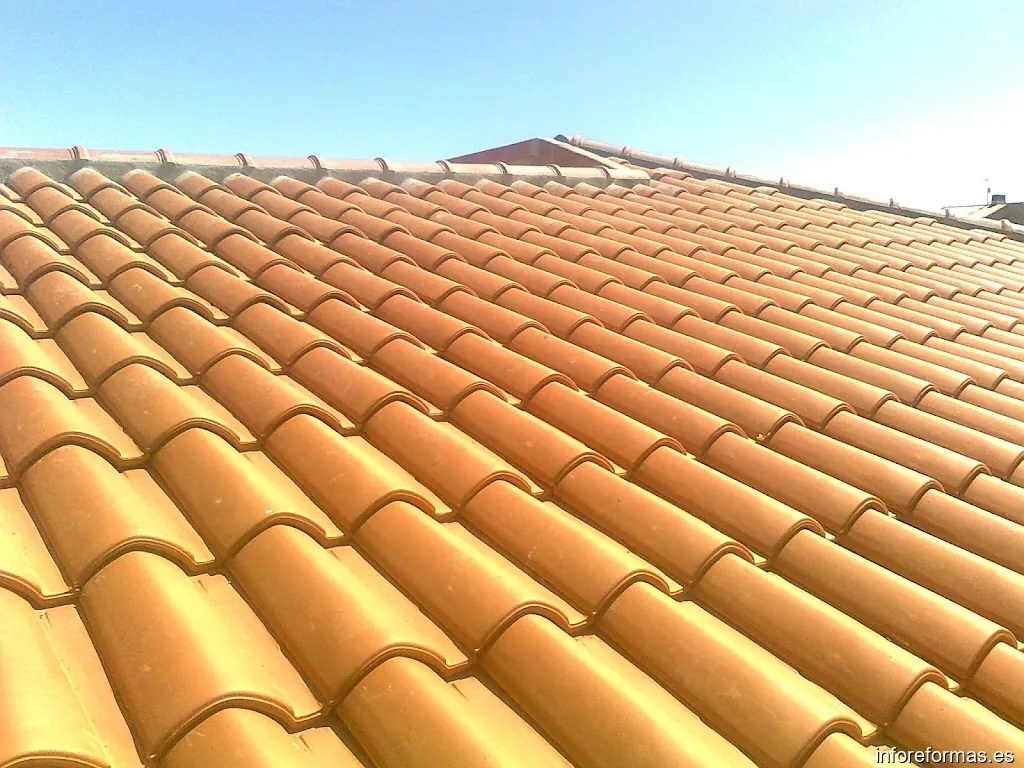 EDYRENA S.L. CONSTRUCCIONES