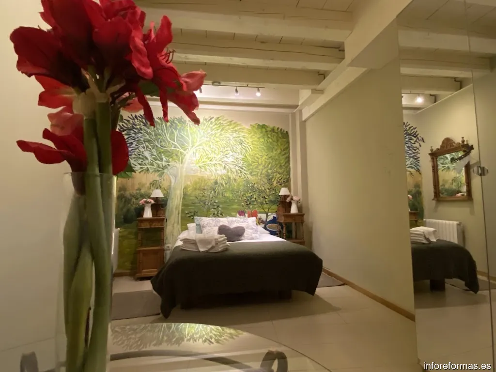 REHABILITACIONES LA COMARCA S.L