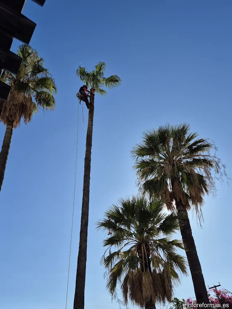 Sures Construcción y Reformas Almuñécar