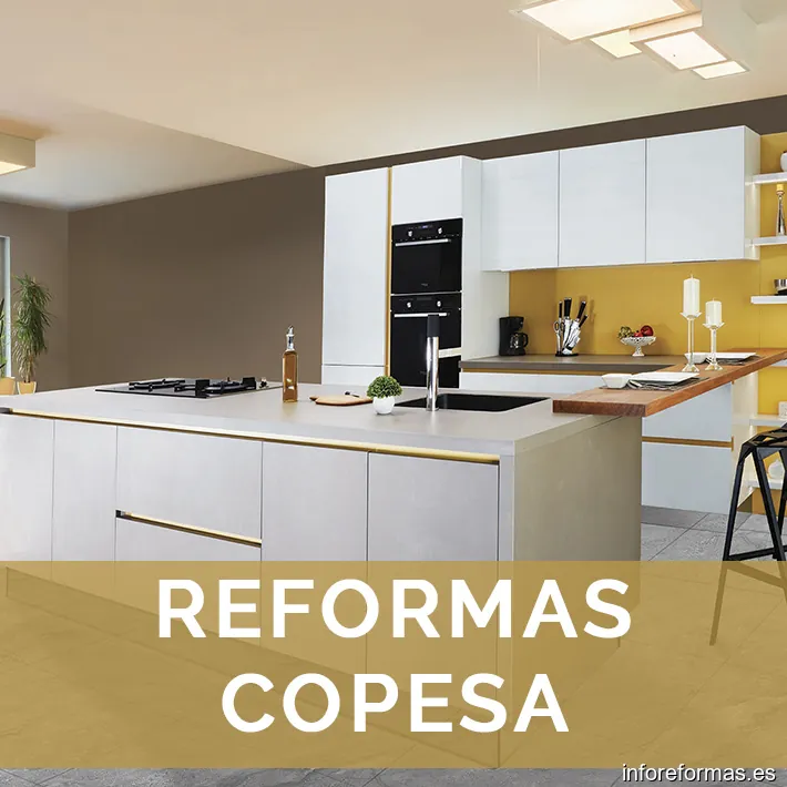Reformas Copesa