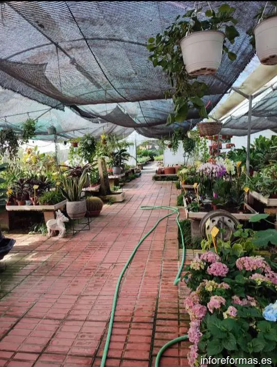 Garden Center Ses Alameras