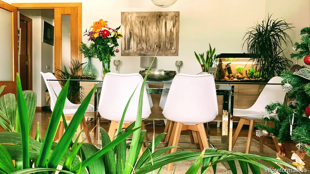 Exclusivas Santo Mauro