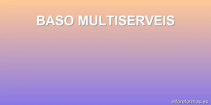 BASO MULTISERVEIS