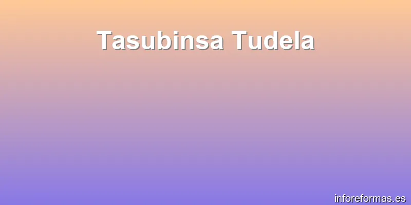 Tasubinsa Tudela