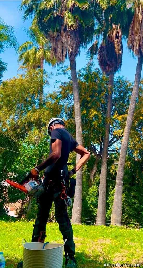 The garden boy mijas