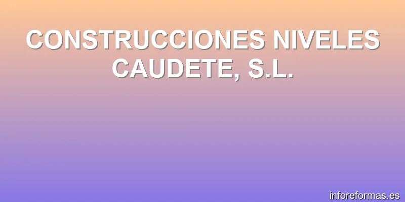 CONSTRUCCIONES NIVELES CAUDETE, S.L.