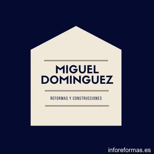 Miguel Dominguez Reformas