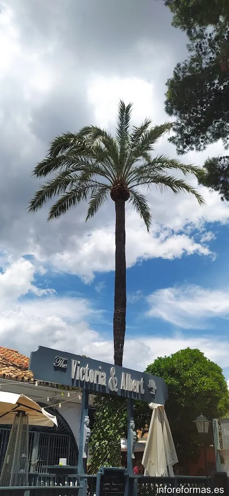 Merci Services - Mantenimiento de jardines y piscinas