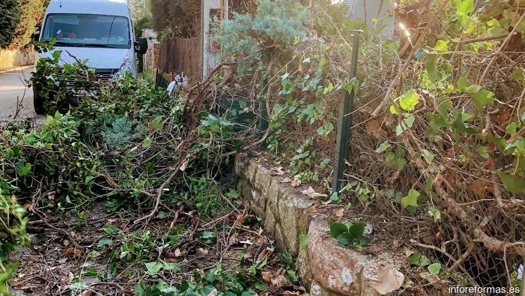 Multiservicios Amazonasgreen