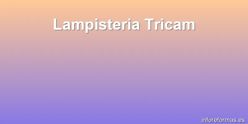 Lampisteria Tricam